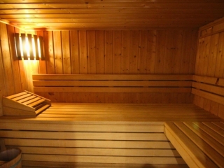 14 Chalet Alpaka Chatel Sauna